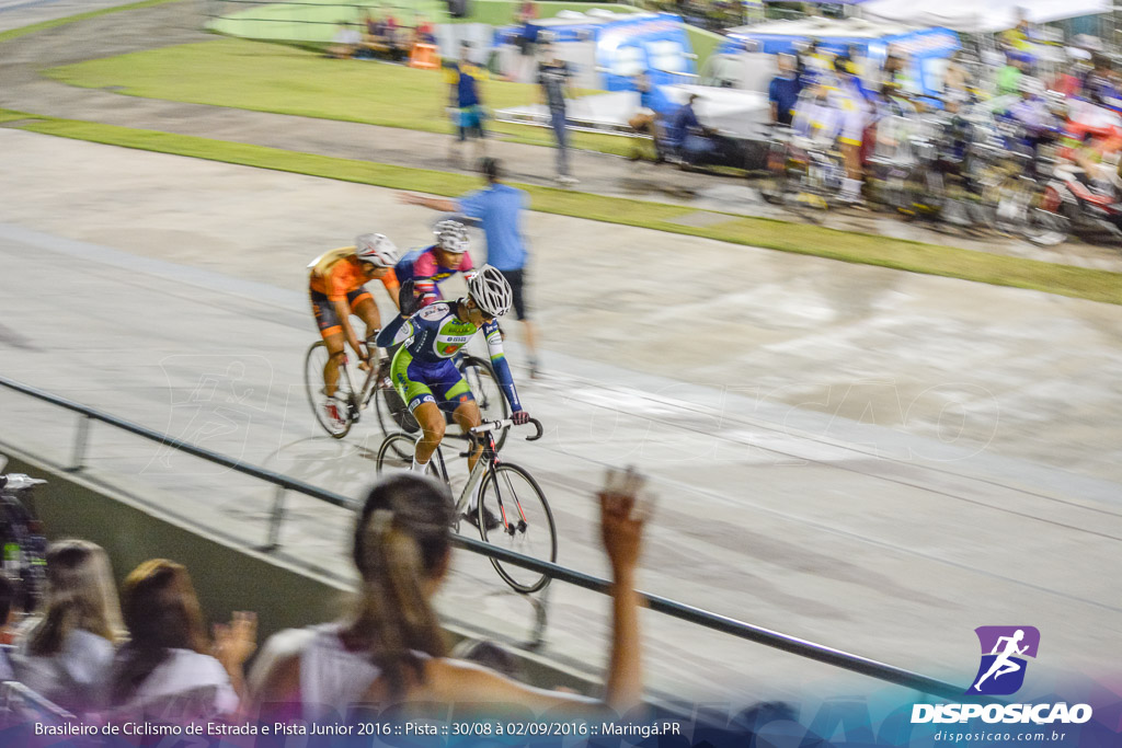 Pista :: Brasileiro de Ciclismo de Estrada e Pista 2016