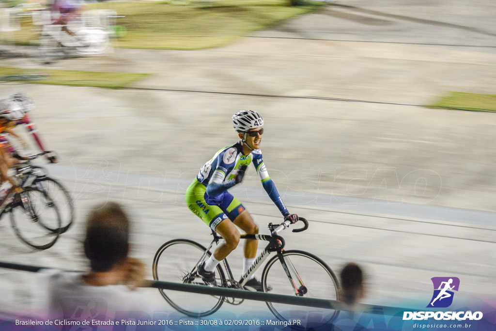 Pista :: Brasileiro de Ciclismo de Estrada e Pista 2016