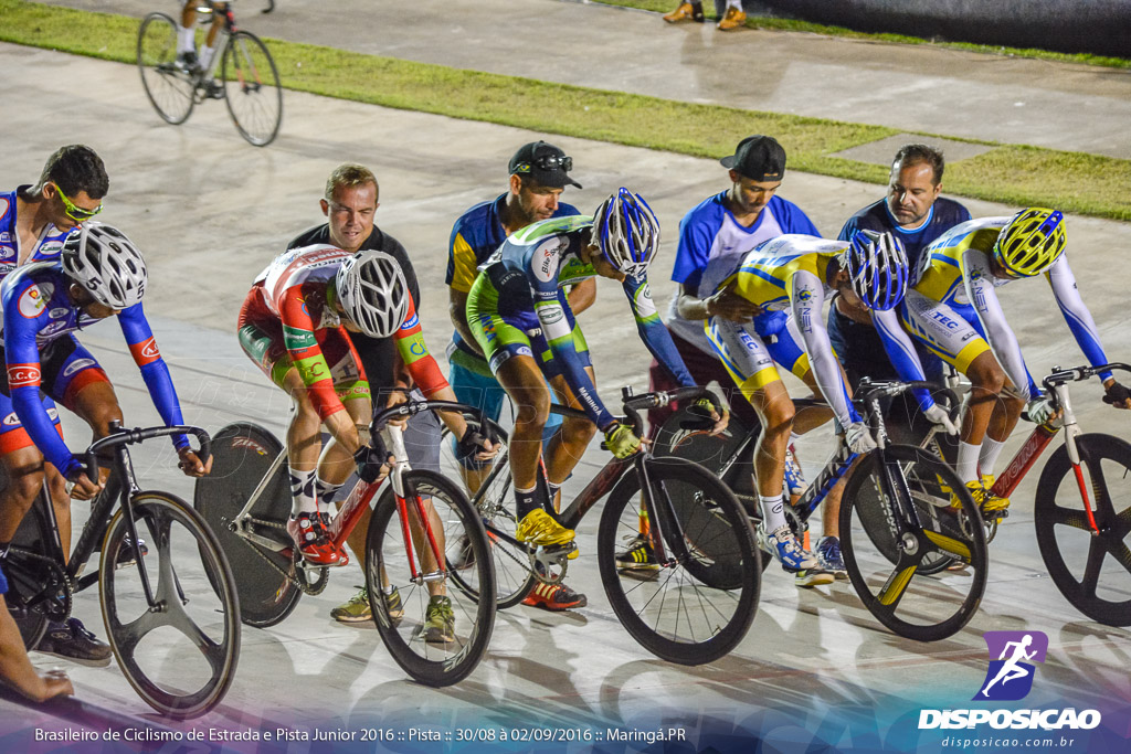 Pista :: Brasileiro de Ciclismo de Estrada e Pista 2016