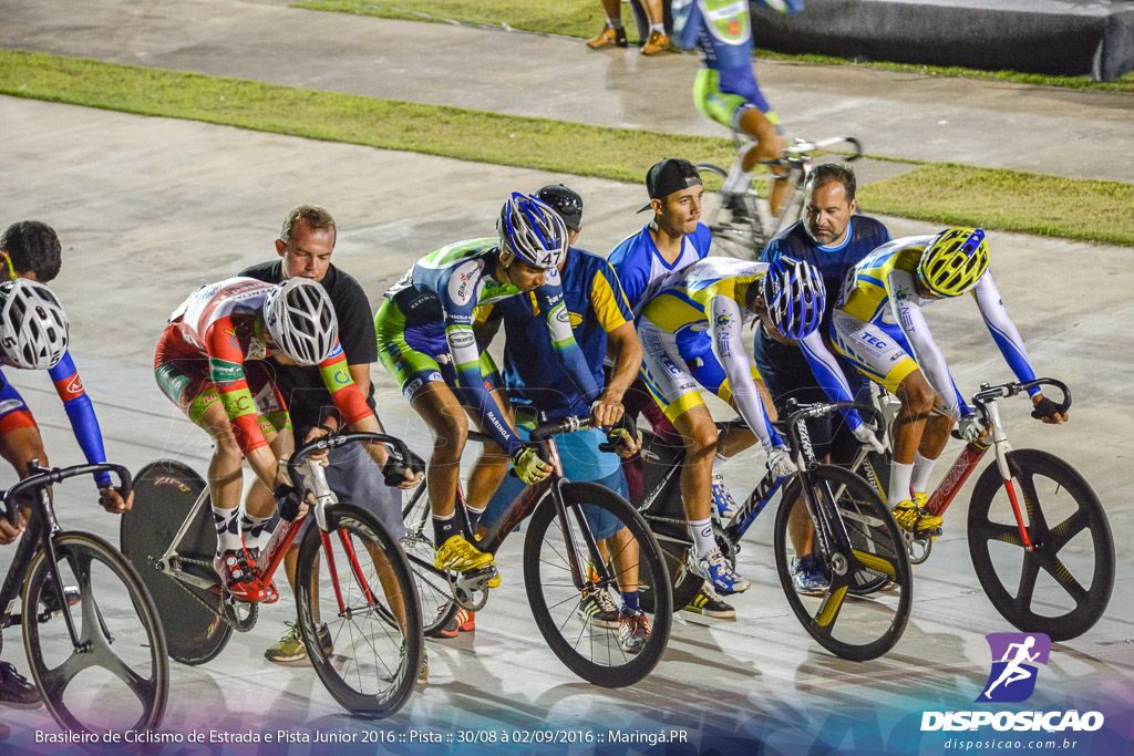 Pista :: Brasileiro de Ciclismo de Estrada e Pista 2016