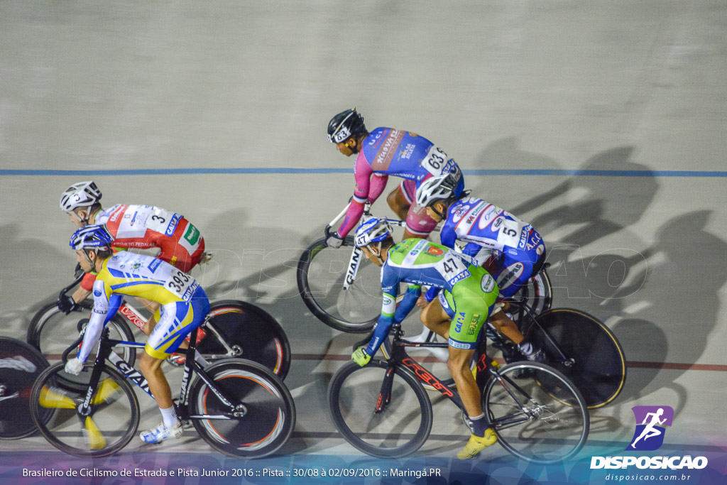 Pista :: Brasileiro de Ciclismo de Estrada e Pista 2016