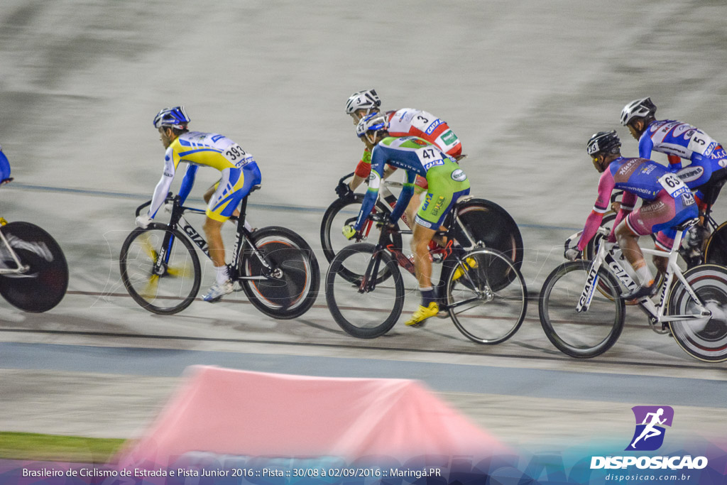 Pista :: Brasileiro de Ciclismo de Estrada e Pista 2016