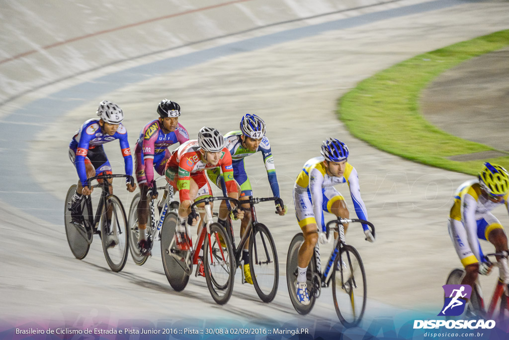 Pista :: Brasileiro de Ciclismo de Estrada e Pista 2016