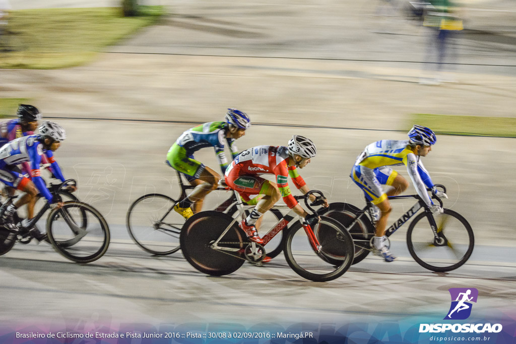 Pista :: Brasileiro de Ciclismo de Estrada e Pista 2016