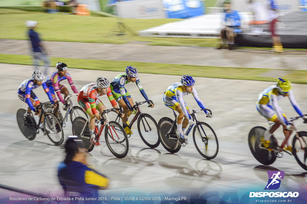 Pista :: Brasileiro de Ciclismo de Estrada e Pista 2016