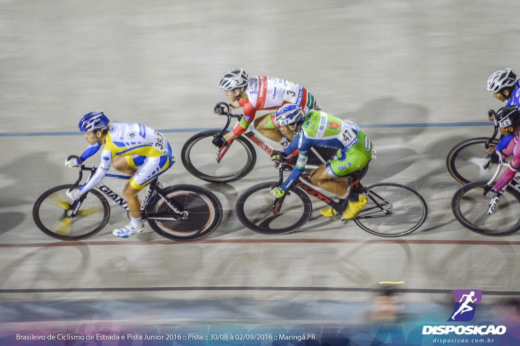 Pista :: Brasileiro de Ciclismo de Estrada e Pista 2016