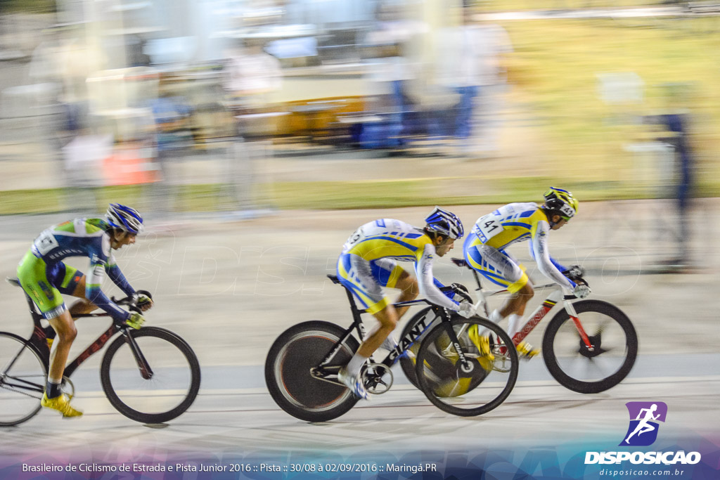 Pista :: Brasileiro de Ciclismo de Estrada e Pista 2016