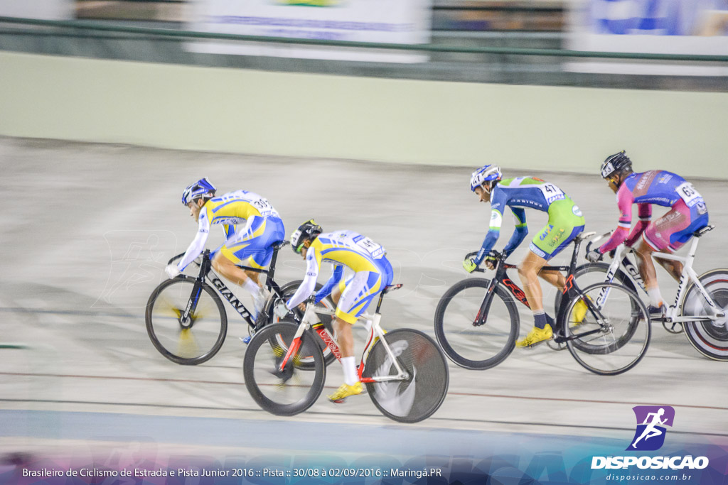 Pista :: Brasileiro de Ciclismo de Estrada e Pista 2016