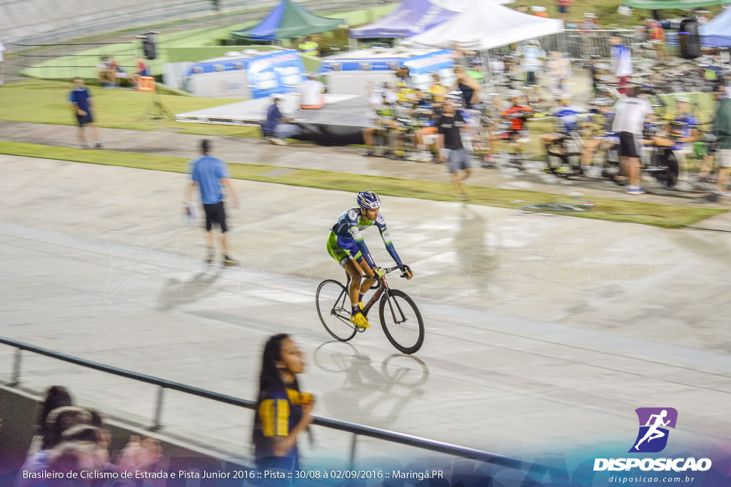 Pista :: Brasileiro de Ciclismo de Estrada e Pista 2016