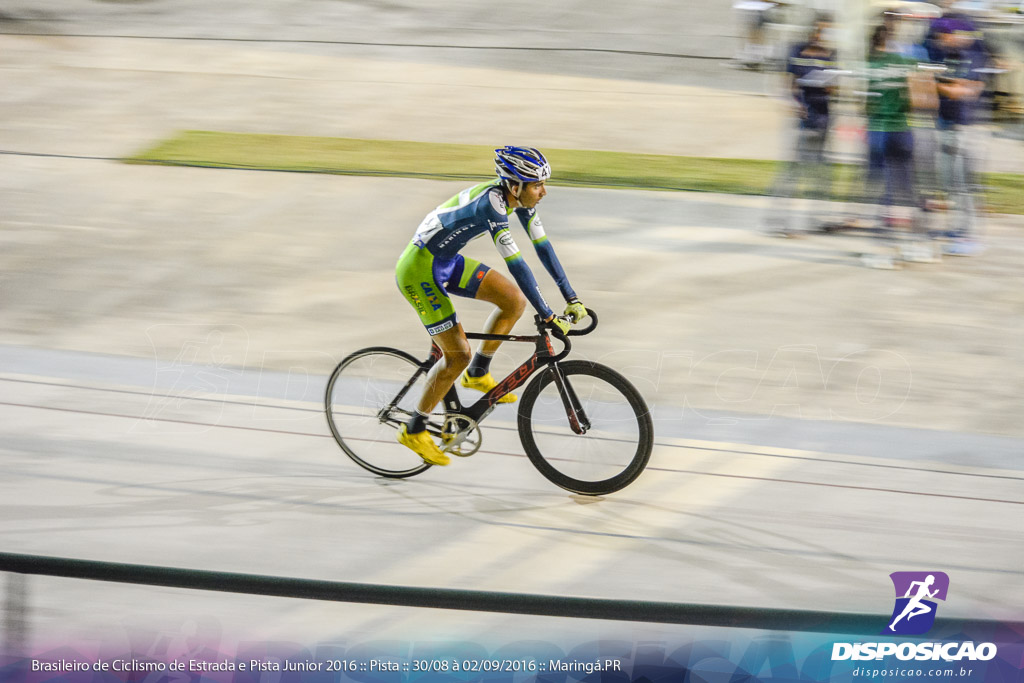 Pista :: Brasileiro de Ciclismo de Estrada e Pista 2016