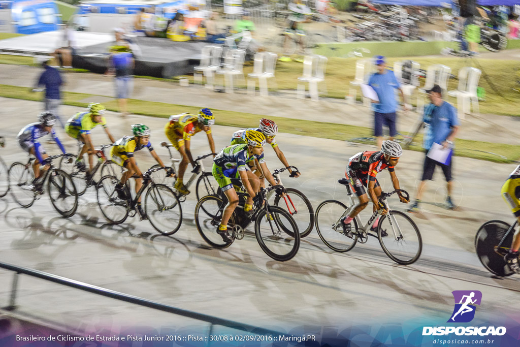 Pista :: Brasileiro de Ciclismo de Estrada e Pista 2016