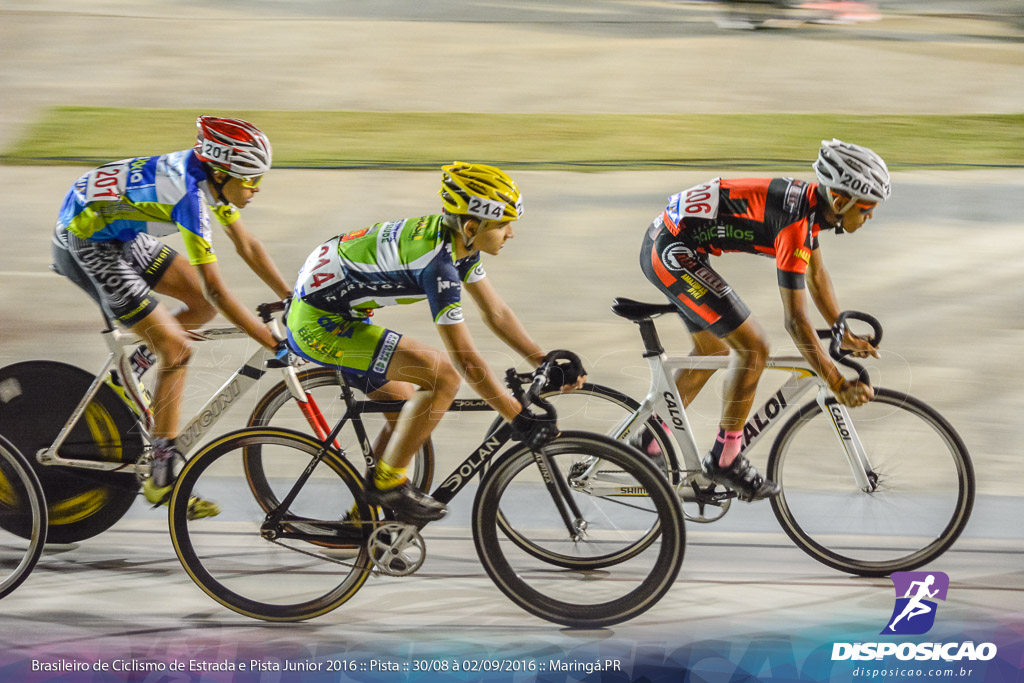 Pista :: Brasileiro de Ciclismo de Estrada e Pista 2016