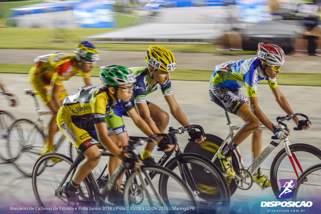 Pista :: Brasileiro de Ciclismo de Estrada e Pista 2016