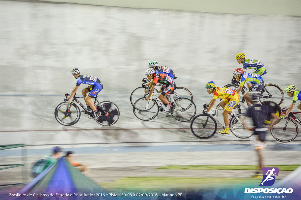 Pista :: Brasileiro de Ciclismo de Estrada e Pista 2016