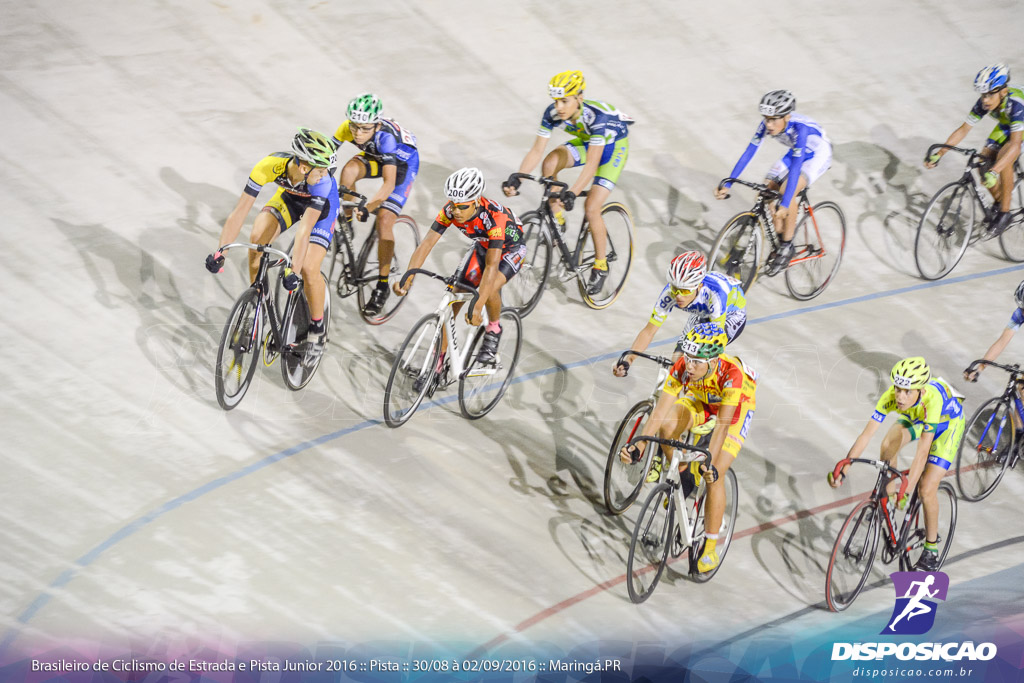 Pista :: Brasileiro de Ciclismo de Estrada e Pista 2016