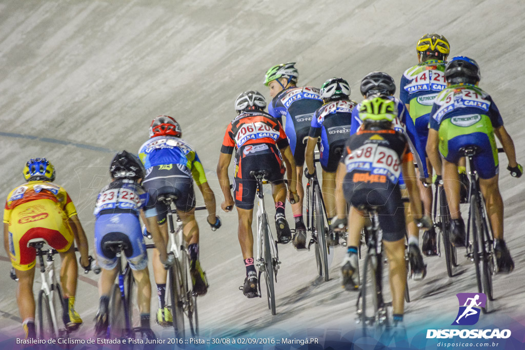 Pista :: Brasileiro de Ciclismo de Estrada e Pista 2016