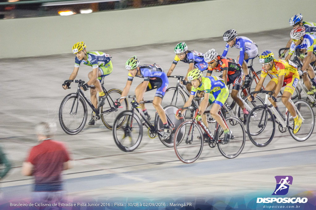 Pista :: Brasileiro de Ciclismo de Estrada e Pista 2016