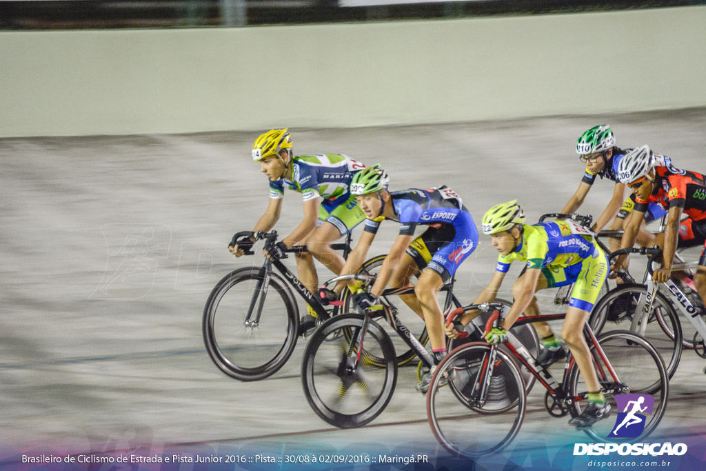 Pista :: Brasileiro de Ciclismo de Estrada e Pista 2016