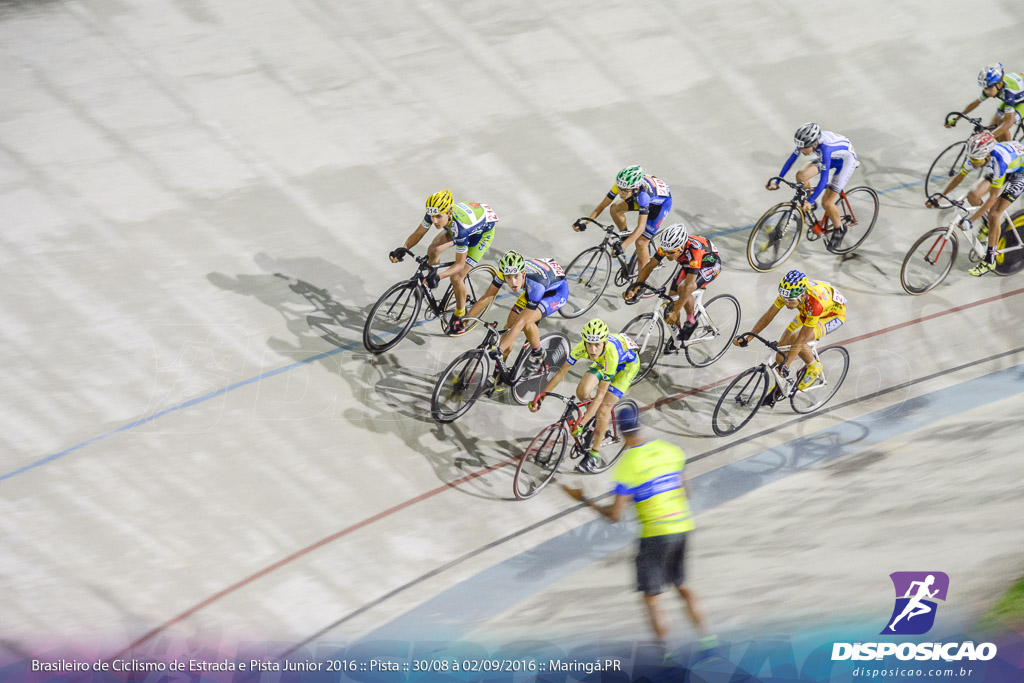 Pista :: Brasileiro de Ciclismo de Estrada e Pista 2016