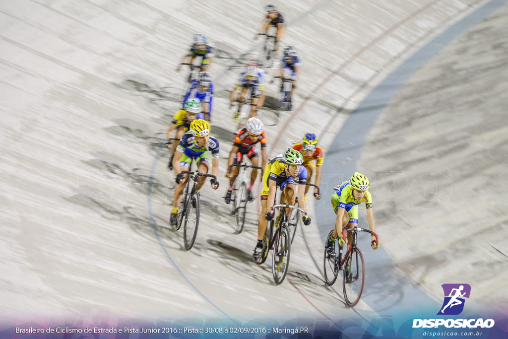 Pista :: Brasileiro de Ciclismo de Estrada e Pista 2016