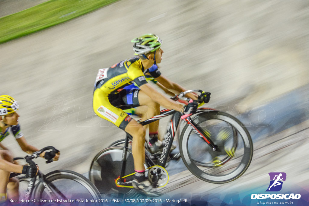 Pista :: Brasileiro de Ciclismo de Estrada e Pista 2016