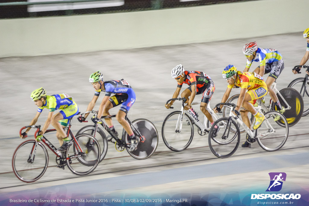 Pista :: Brasileiro de Ciclismo de Estrada e Pista 2016