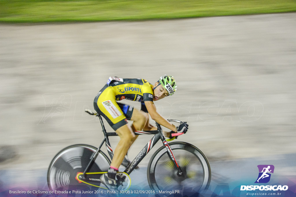 Pista :: Brasileiro de Ciclismo de Estrada e Pista 2016