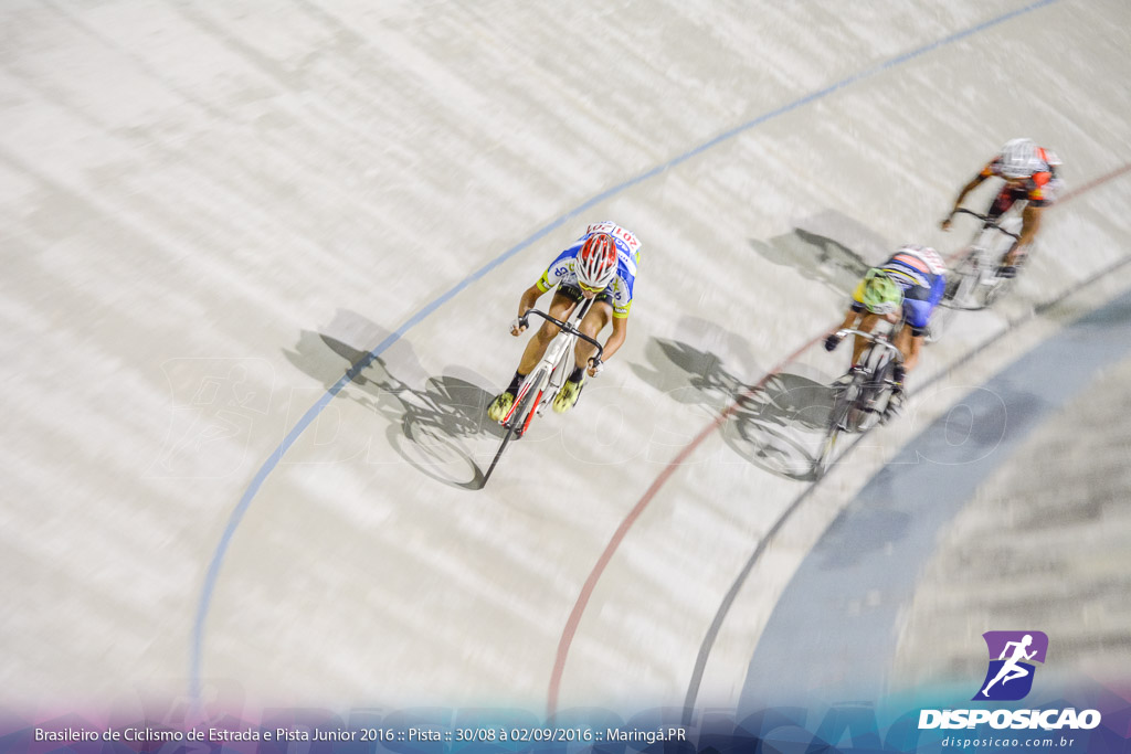 Pista :: Brasileiro de Ciclismo de Estrada e Pista 2016