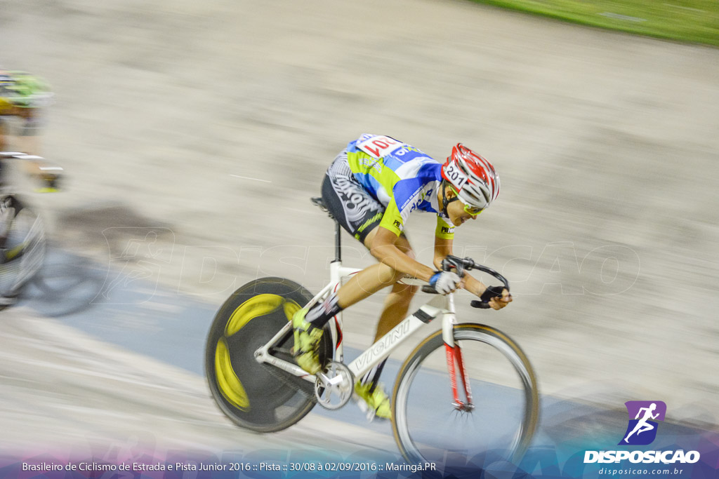 Pista :: Brasileiro de Ciclismo de Estrada e Pista 2016