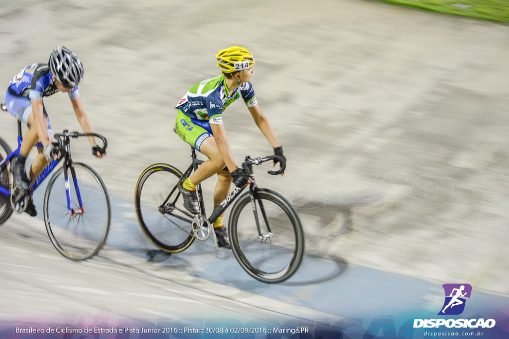 Pista :: Brasileiro de Ciclismo de Estrada e Pista 2016