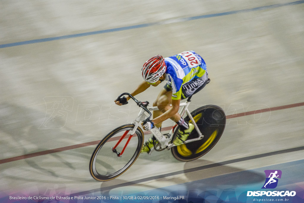 Pista :: Brasileiro de Ciclismo de Estrada e Pista 2016