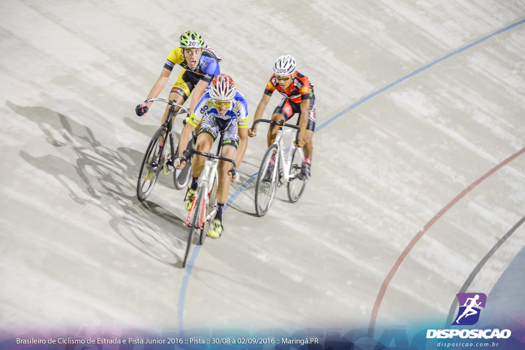 Pista :: Brasileiro de Ciclismo de Estrada e Pista 2016