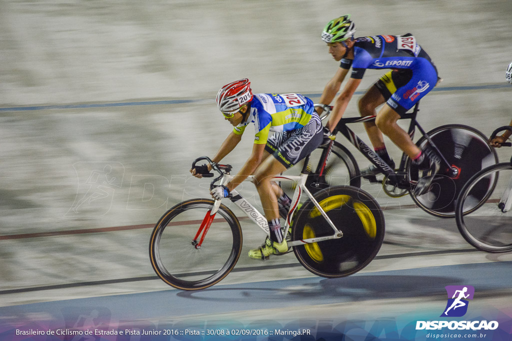 Pista :: Brasileiro de Ciclismo de Estrada e Pista 2016