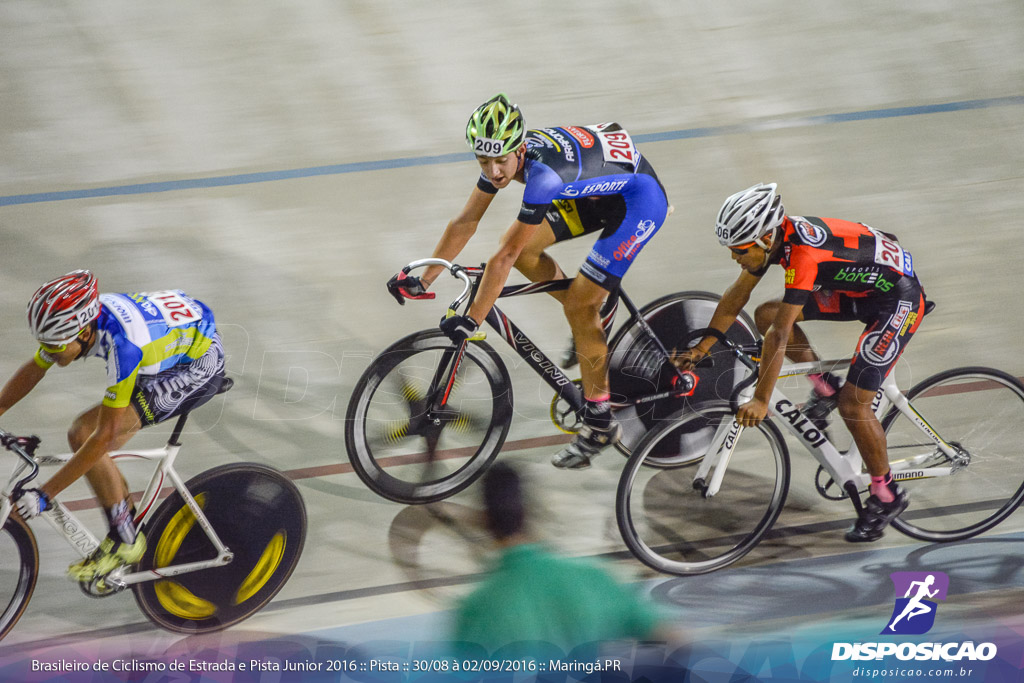 Pista :: Brasileiro de Ciclismo de Estrada e Pista 2016