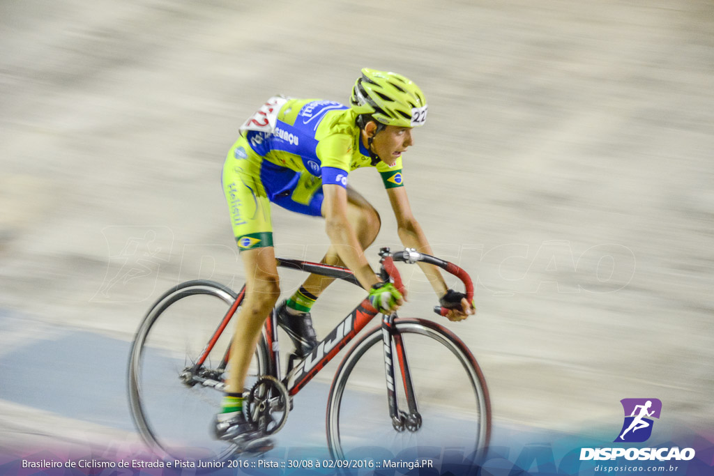 Pista :: Brasileiro de Ciclismo de Estrada e Pista 2016