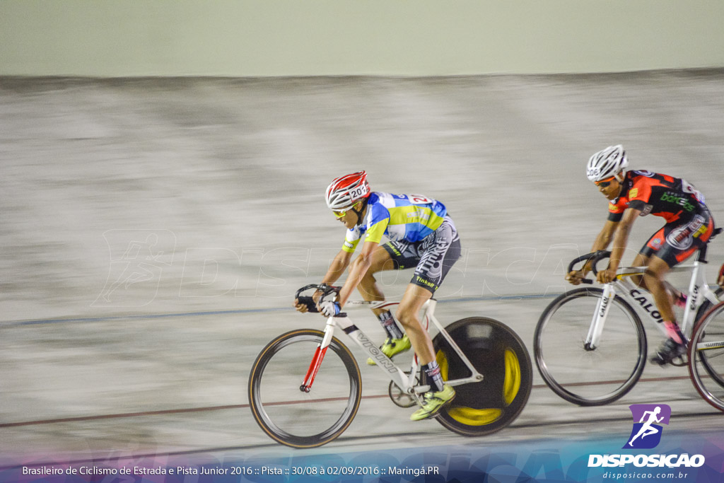 Pista :: Brasileiro de Ciclismo de Estrada e Pista 2016