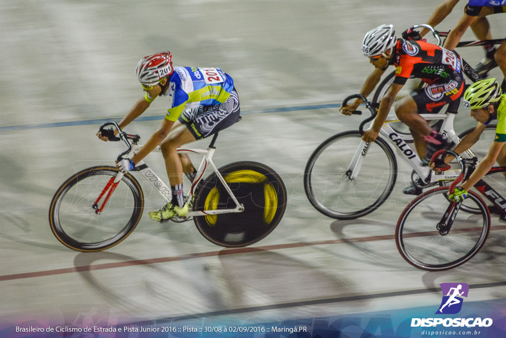 Pista :: Brasileiro de Ciclismo de Estrada e Pista 2016