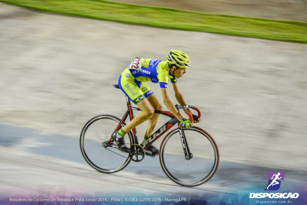 Pista :: Brasileiro de Ciclismo de Estrada e Pista 2016