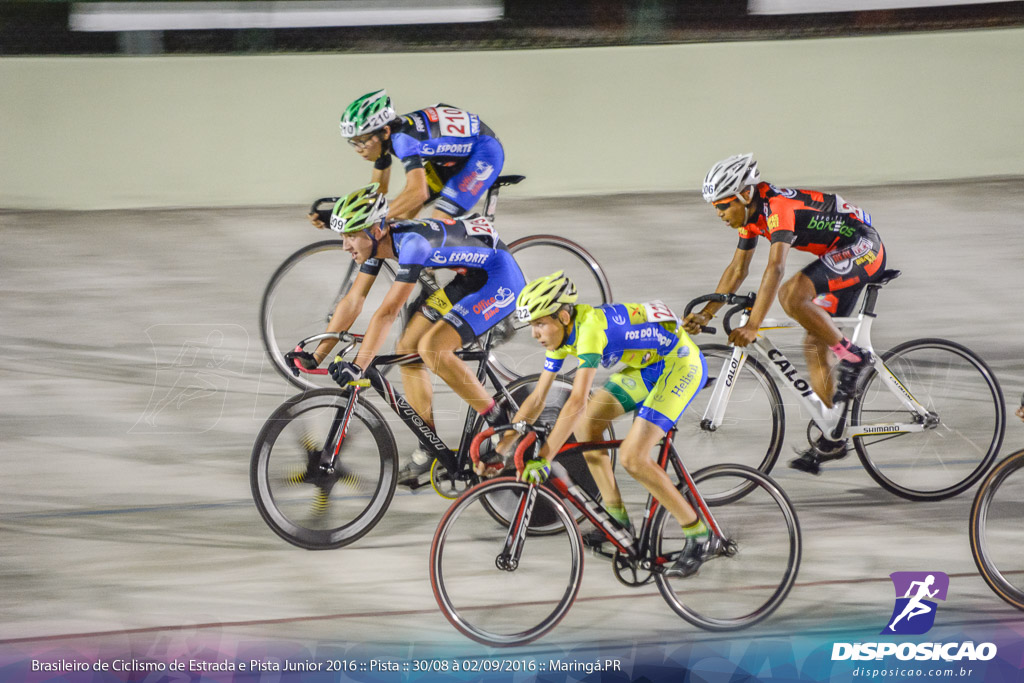 Pista :: Brasileiro de Ciclismo de Estrada e Pista 2016