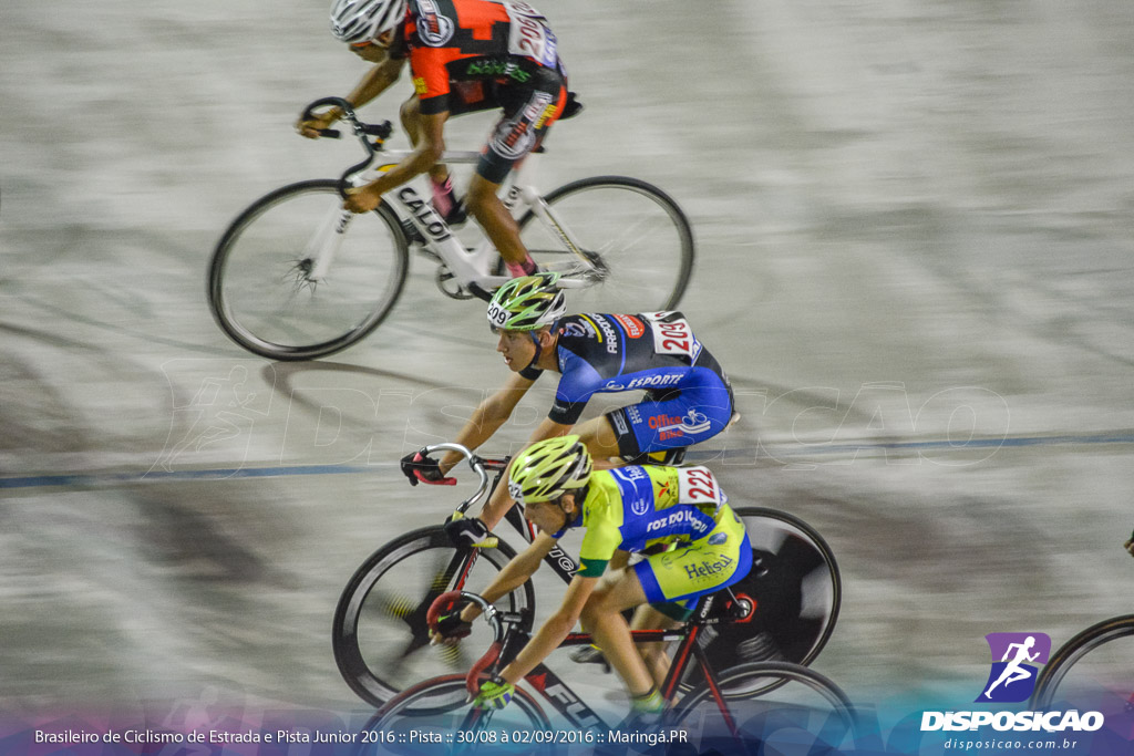 Pista :: Brasileiro de Ciclismo de Estrada e Pista 2016