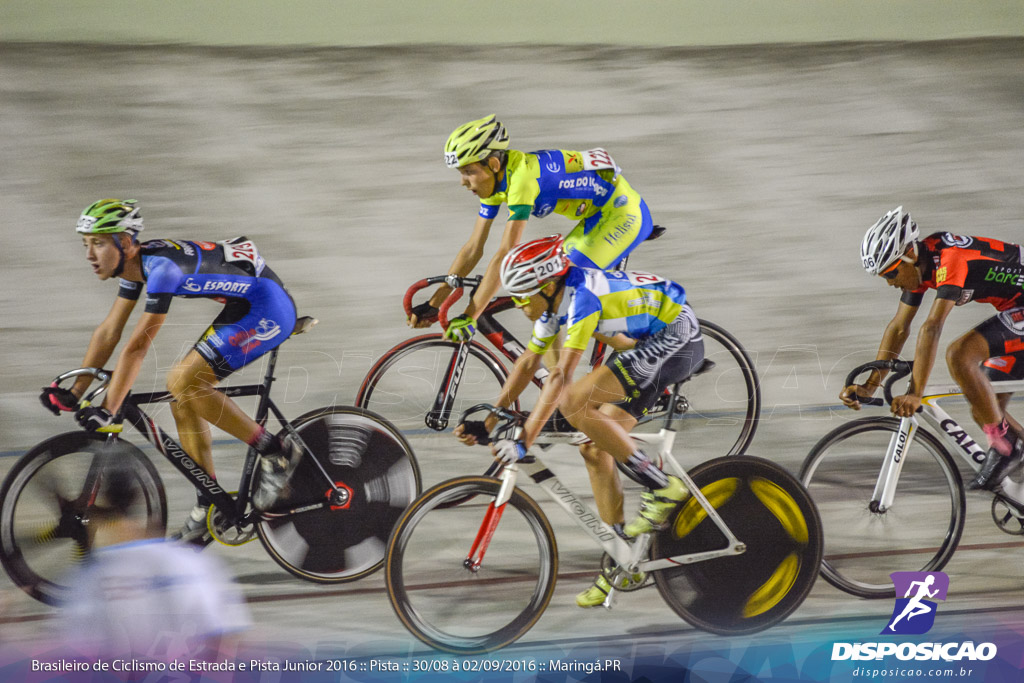 Pista :: Brasileiro de Ciclismo de Estrada e Pista 2016