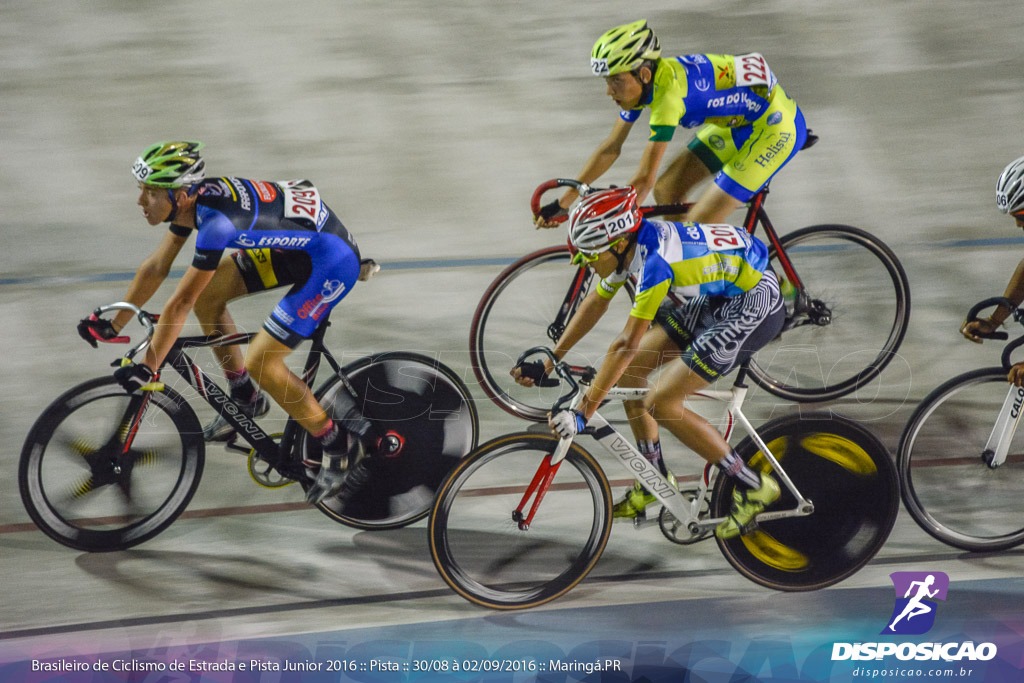 Pista :: Brasileiro de Ciclismo de Estrada e Pista 2016