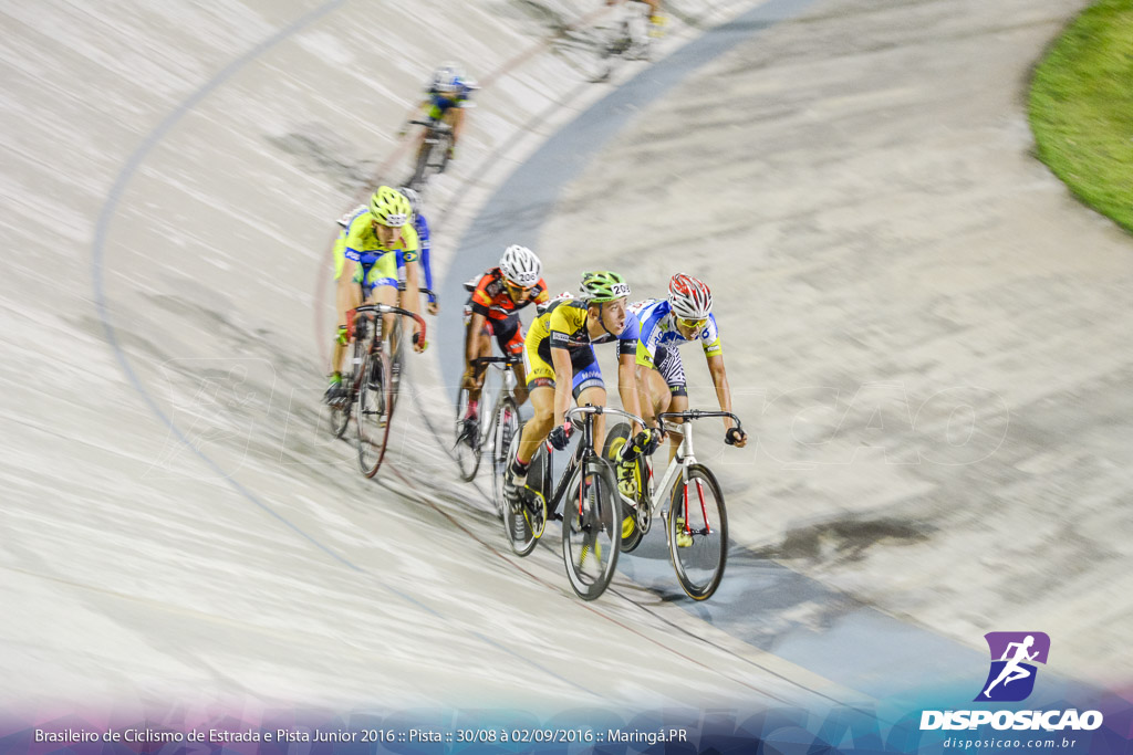 Pista :: Brasileiro de Ciclismo de Estrada e Pista 2016