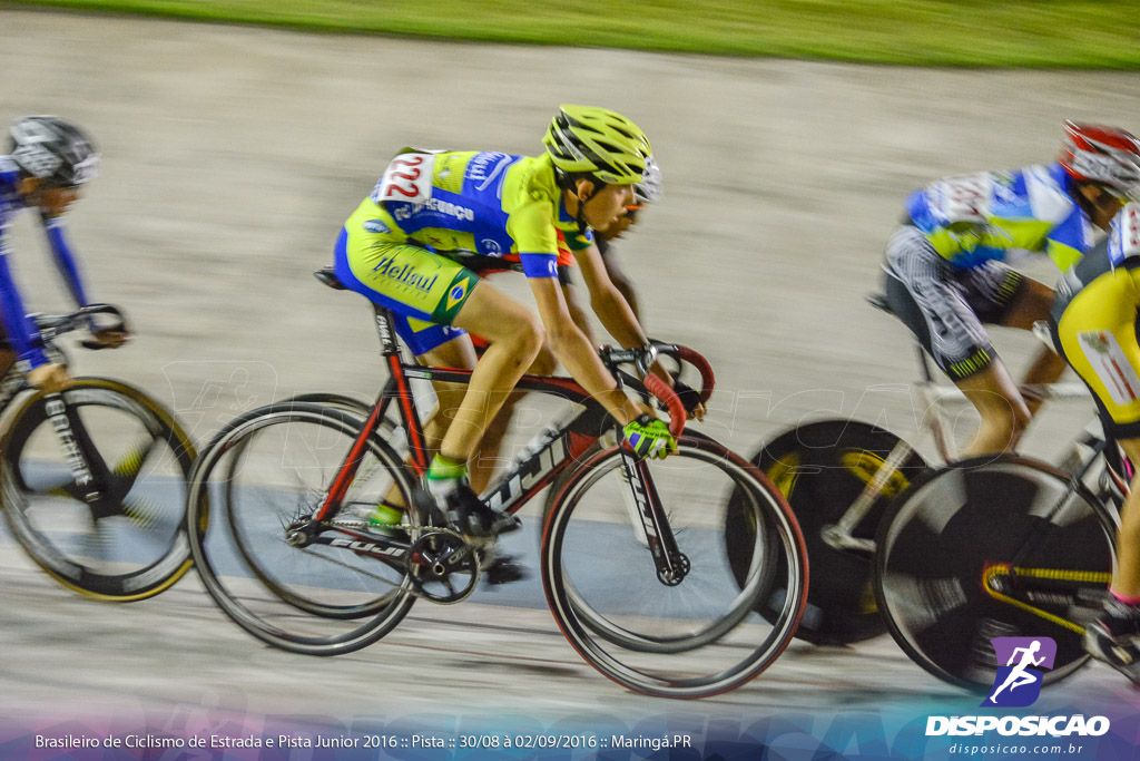 Pista :: Brasileiro de Ciclismo de Estrada e Pista 2016