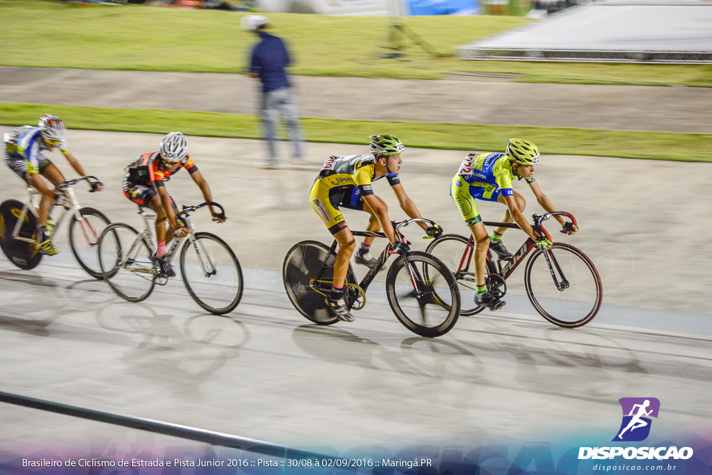 Pista :: Brasileiro de Ciclismo de Estrada e Pista 2016