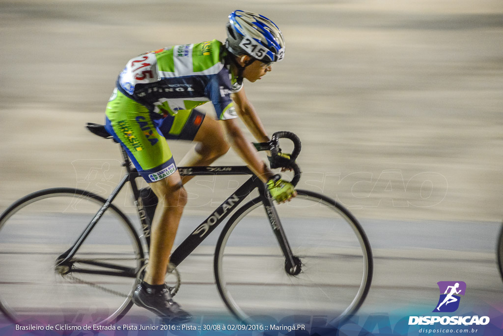 Pista :: Brasileiro de Ciclismo de Estrada e Pista 2016