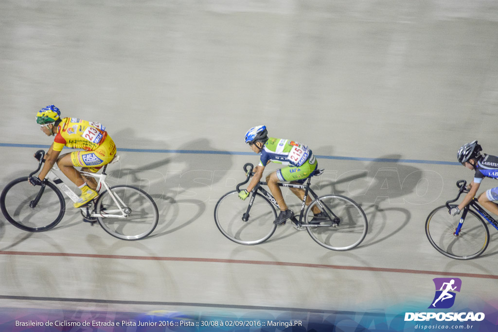 Pista :: Brasileiro de Ciclismo de Estrada e Pista 2016