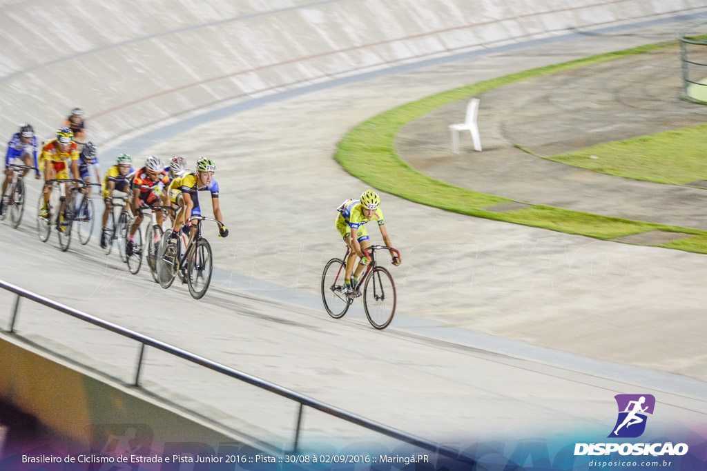 Pista :: Brasileiro de Ciclismo de Estrada e Pista 2016