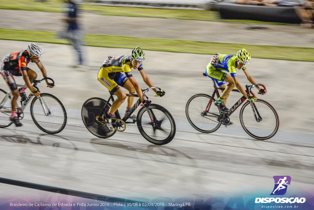 Pista :: Brasileiro de Ciclismo de Estrada e Pista 2016