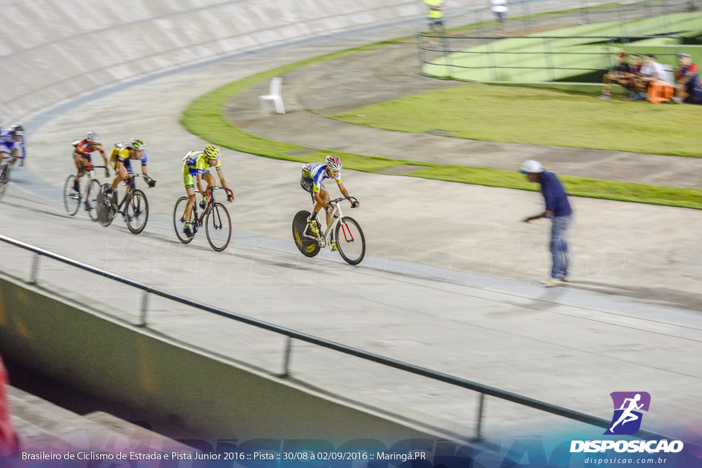 Pista :: Brasileiro de Ciclismo de Estrada e Pista 2016